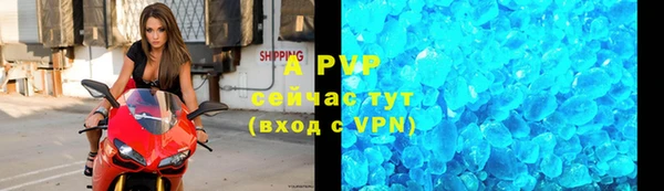 стаф Арсеньев