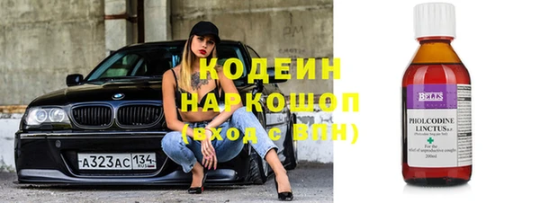 стаф Арсеньев