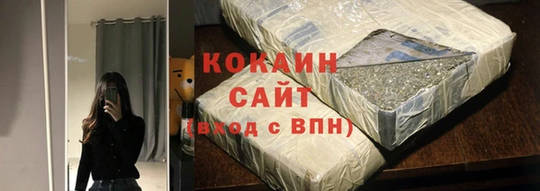 сатива Аркадак
