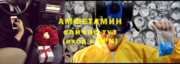 винт Алзамай