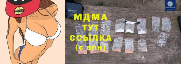 сатива Аркадак
