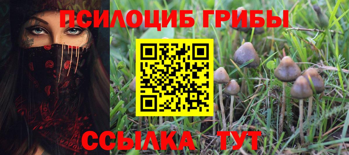Псилоцибиновые грибы Psilocybine cubensis Нарьян-Мар