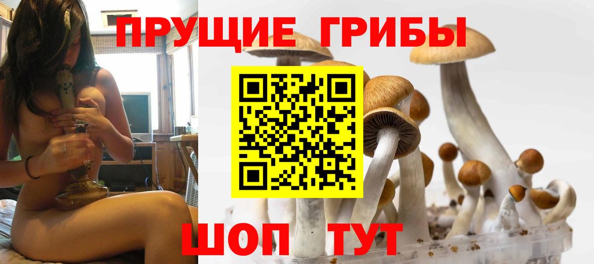 Нарьян-Мар  Псилоцибиновые грибы прущие грибы  Вход с VPN 